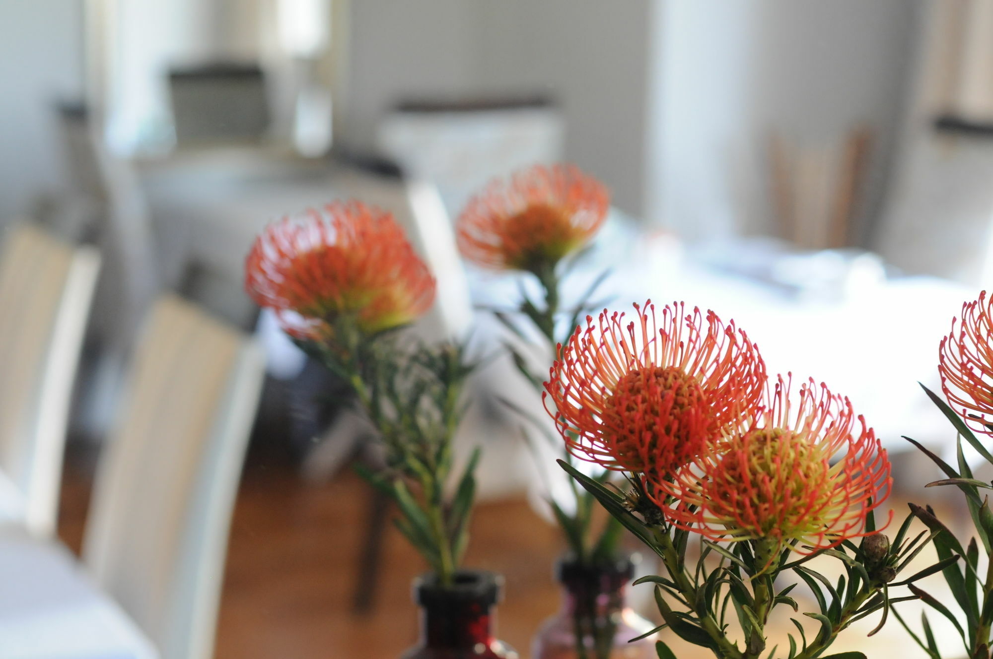 Abbey Manor Luxury Guesthouse Cape Town Exterior foto
